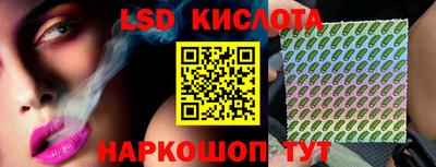 стафф Будённовск