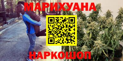стафф Будённовск