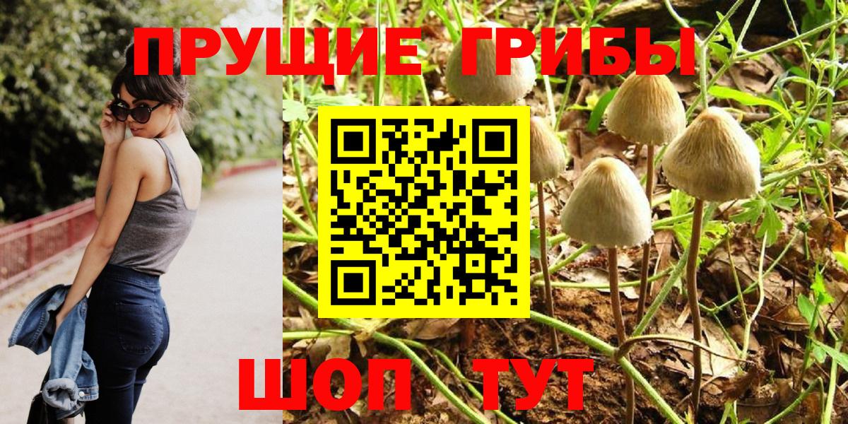 Раменское  Псилоцибиновые грибы MAGIC MUSHROOMS  Вход с VPN 